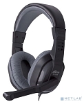 Наушники с микрофоном RITMIX RH-534M, Серые