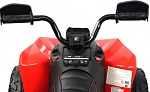 Детский электроквадроцикл RiverToys BRP Can-Am Renegade (Y333YY) красный