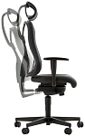 (EU) Игровое кресло Dieter Knoll GAMING CHAIR, 241552449, Серое