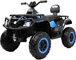 Детский электроквадроцикл RiverToys T001TT 4WD синий
