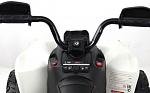 Детский электроквадроцикл RiverToys BRP Can-Am Renegade (Y333YY) белый