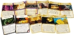 (EU) Настольная игра Hobby World Древний Ужас. Таинственные Руины (доп)