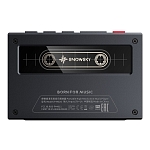 Портативный аудиоплеер FIIO SNOWSKY ECHO 8Гб (F4402E), Чёрный