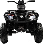 Детский электроквадроцикл RiverToys T001TT 4WD черный