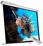 (EU) Аксессуар для проектора Phoenix Technologies Elec-Screen240 135" экран электрический рулонный , Белый