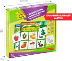 (EU) Настольная игра Bondibon Теневое лото «Флора и фауна»