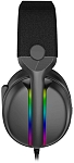 Наушники с микрофоном RITMIX RH-645M, Чёрные