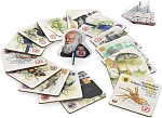 (EU) Настольная игра Стиль жизни По стопам Дарвина
