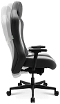 (EU) Игровое кресло Sitness RS X, 241552454, Серое
