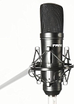 (EU) Конденсаторный микрофон Fame Studio C05, большой диафрагмой, кардиоида, 20-20 кГц