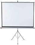 (EU) Проекционный экран NOBO 1902396 (175x132 см, напольный, портативный), Белый