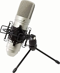 (EU) Конденсаторный микрофон Tascam TM-80, кардиоидный, для студии