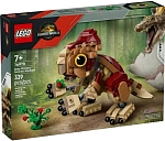 (EU) Конструктор LEGO Jurassic World Детеныш динозаврика Долорес: Аквилопс (76970)