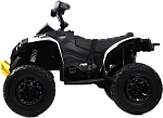 Детский электроквадроцикл RiverToys BRP Can-Am Renegade (Y333YY) белый